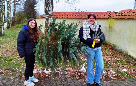 Weihnachtsbaumschlagen 2023 auf dem Uhlandhof