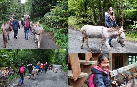 Impuls – Eseltrekking im September 2020